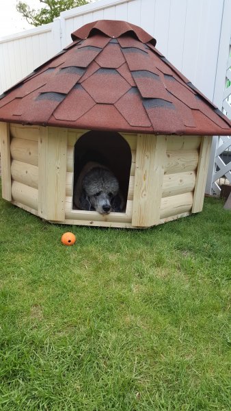 8 Eck Hundehtte Hundehaus Hundeschlafplatz Tierhaus Hundekota