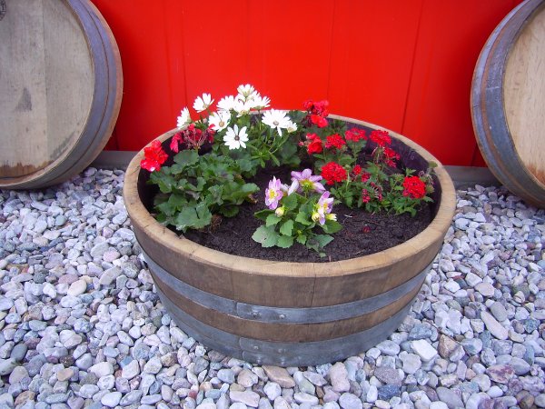 65 L Miniteich Pflantkbel dunkles Eichenholz Pflanzenschale Regentonne aus gebrauchtem Barrique Eichenfass, H.25,D.65cm