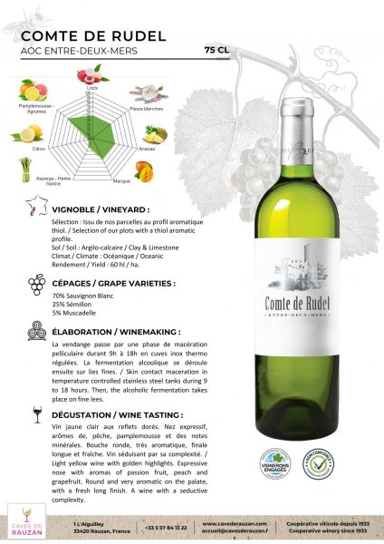 Cave de Rauzan Comte de Rudel 2020 - 60 x 0,75L Flaschen Weiwein AOC ENTRE-DEUX-MERS