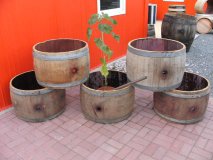 Baumstammumrandung mit PVC-Kbel innen, Pflanzenkbelumrandung, Hochbeet