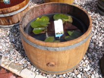 Baumstammumrandung mit PVC-Kbel innen, Pflanzenkbelumrandung, Hochbeet