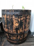 170 Liter Regentonne Blumenkbel Miniteich aus Whiskyfass abgeschliffenes Eichenfass Fassregentonne Holzfass